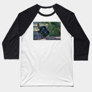 Profile of Displaying Wild Turkey Baseball T-Shirt